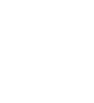 vrouw team vanvelzen