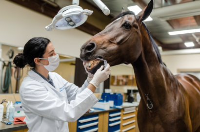 8ddeac23b5009fc16684ae473f6b9ecb