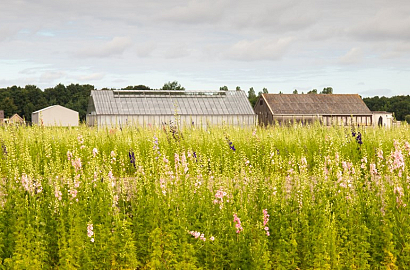 f4ed34b3043e39db8b617295a2f50010