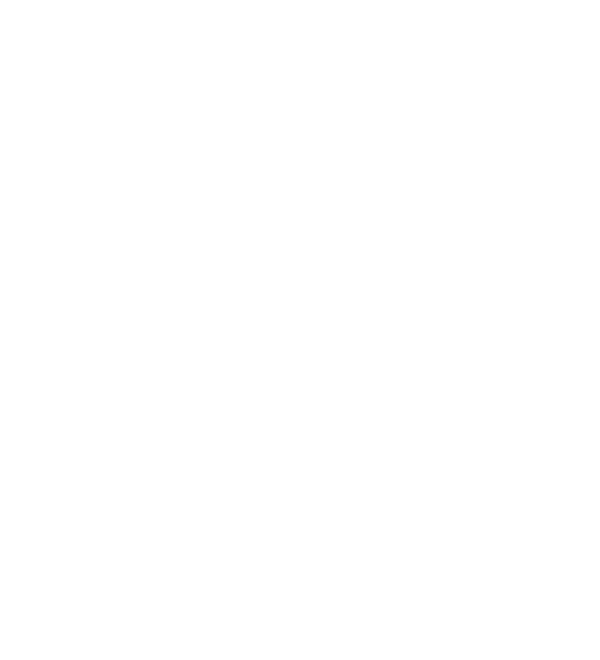 vrouw team vanvelzen