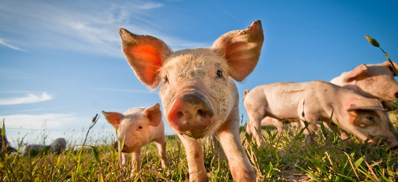 5889bdde22ba85f43e3e1cc03257854c