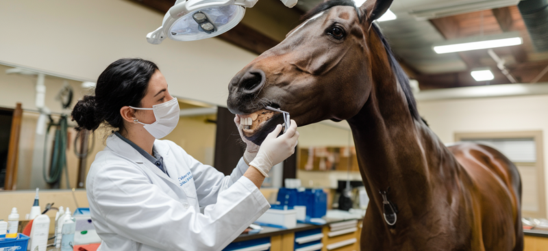 8ddeac23b5009fc16684ae473f6b9ecb