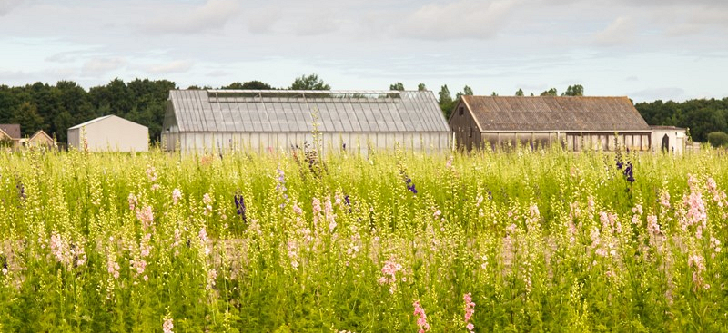 f4ed34b3043e39db8b617295a2f50010